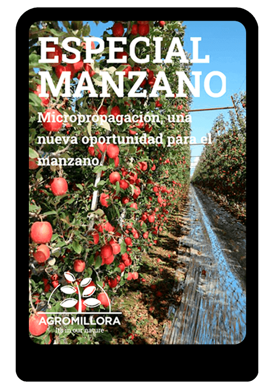 EBOOK-especial-manzano-agromillora-group