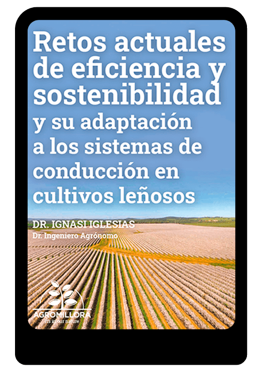 EBOOK-retos-actuales-sostenibilidad-agromillora-group