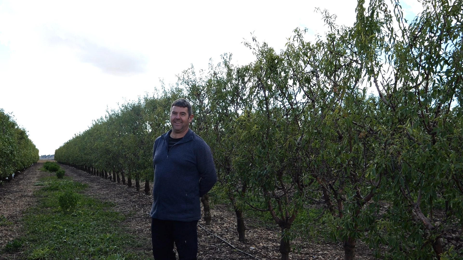 “El almendro en seto se lleva muy bien, por eso decidimos apostar por este cultivo ” 