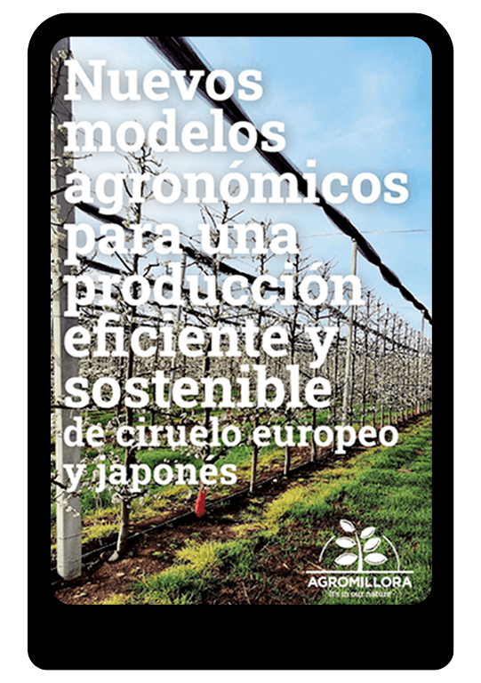 EBOOK-nuevos-modelos-agrnomicos-agromillora-group