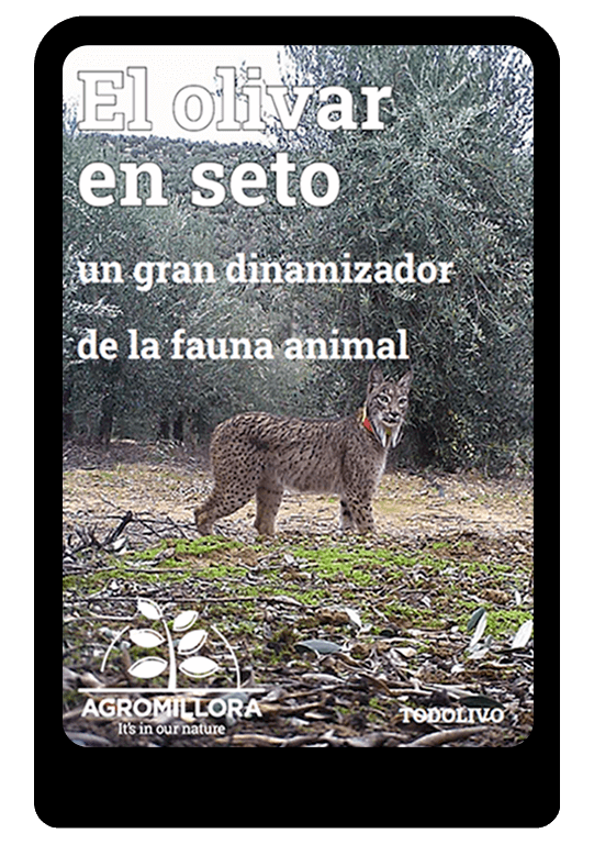 EBOOK-olivar-y-fauna-agromillora-group