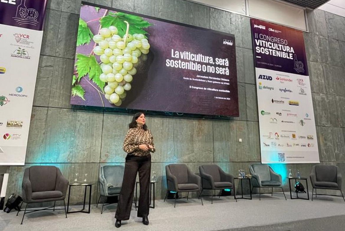 “La innovación y la sostenibilidad son el futuro del vino, sin perder nuestra identidad cultural”