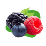 Berries