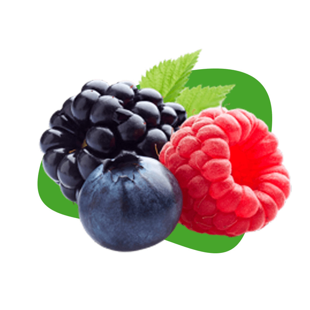 Berries